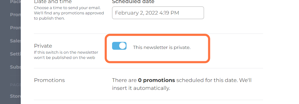 Toggle the newsletter to Private (on) so that it does not appear in your archive page.