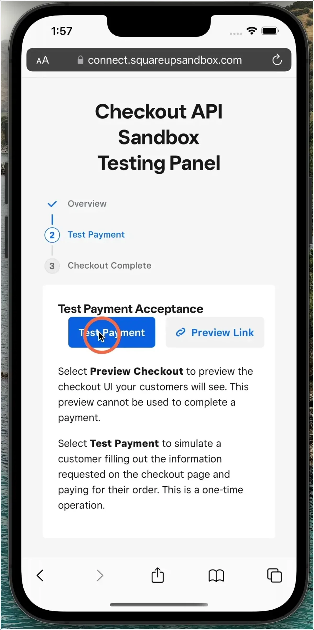 Click Test Payment.