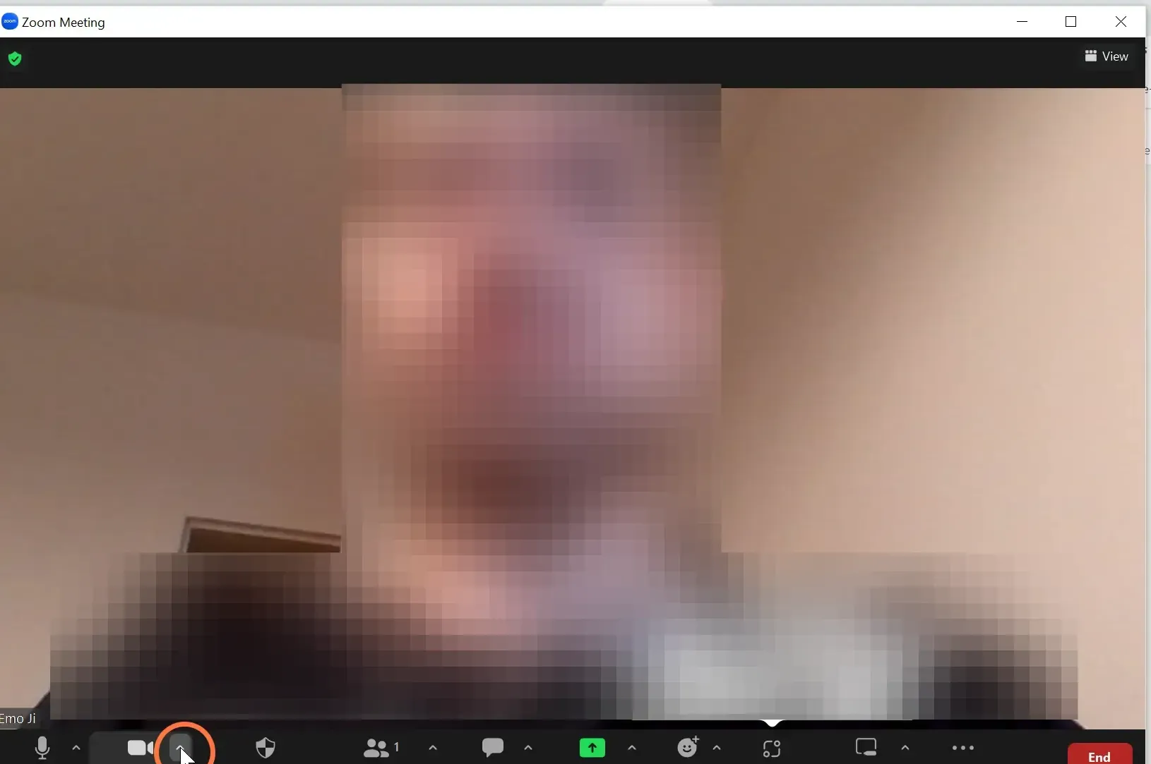 On the bottom left, click on the arrow icon that's next to the Stop Video button
