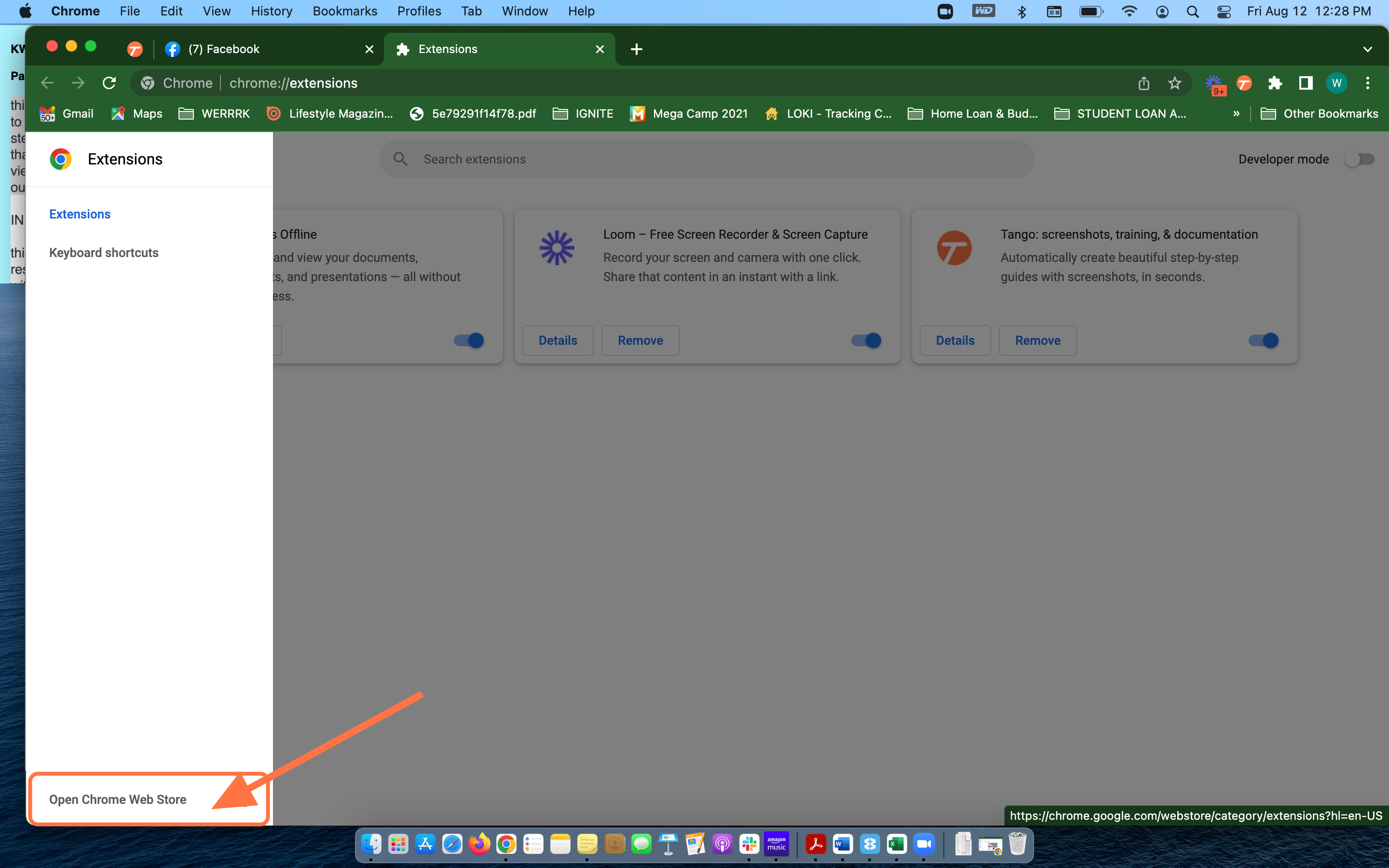 Open Chrome Web Store