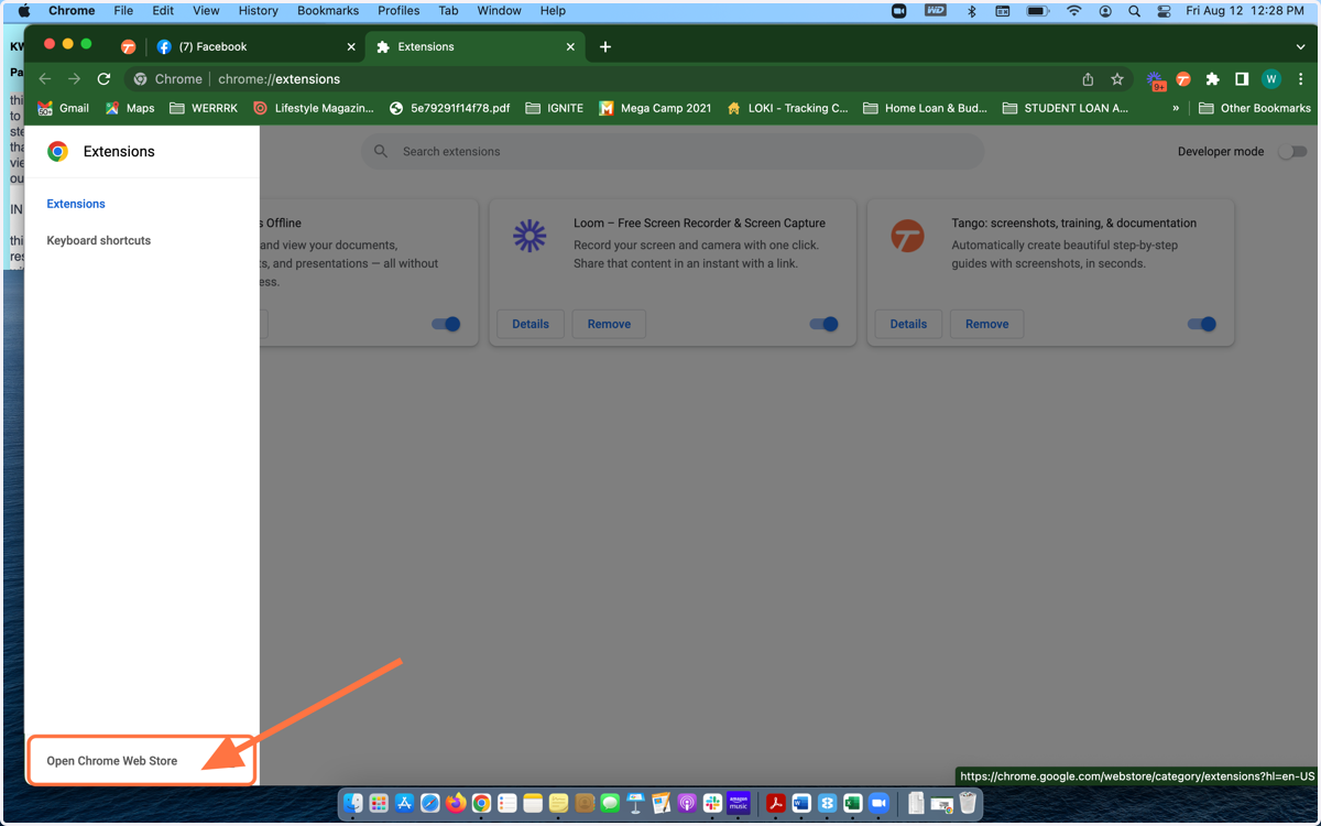 Open Chrome Web Store