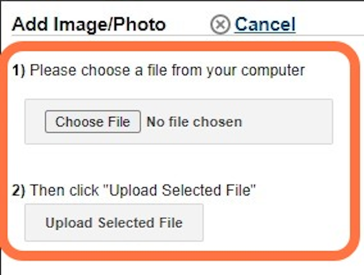 Click Choose File, select your image, and click Upload Selected File