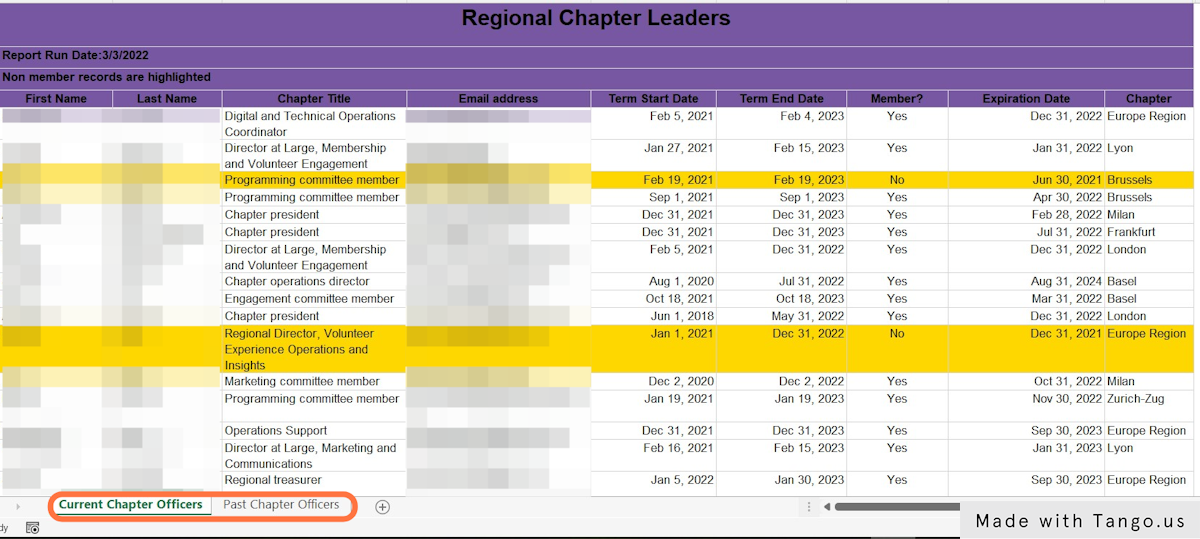 The report generated will list all volunteers in our system, including their names, titles, term start and end dates, membership status (lines highlighted in yellow are nonmembers) and chapter