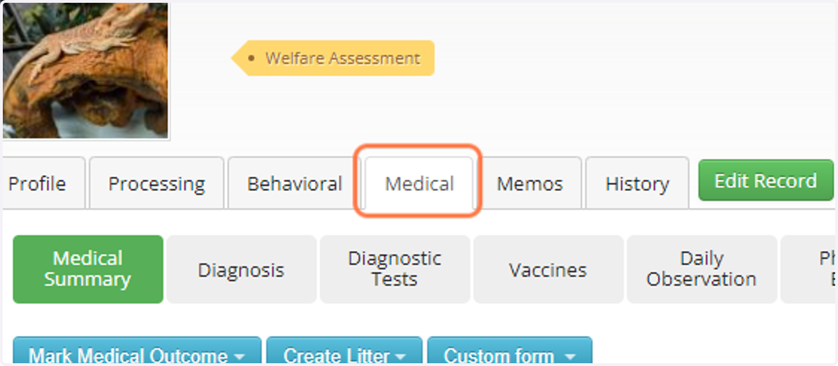 Click on the Medical tab