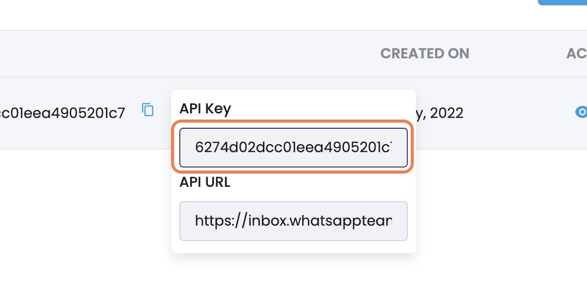 Click on API Key To Copy It