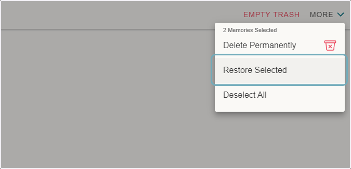 Click on 'Restore Selected'
