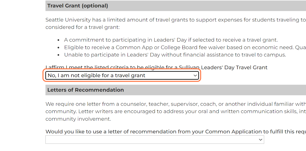 Travel Grant application (optional)