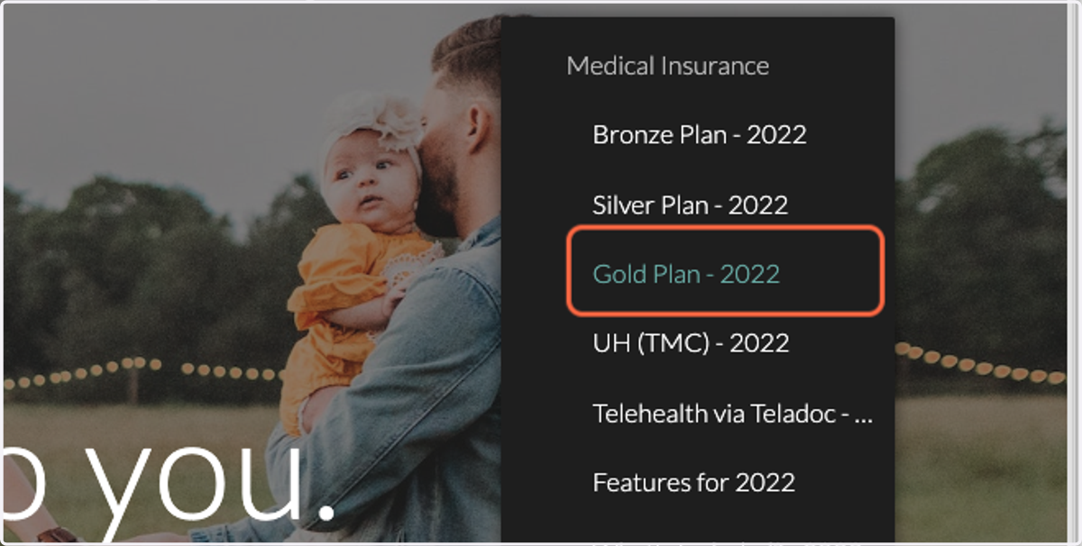 Click on any of our 3 affordable Plans, Bronze, Silver, or Gold