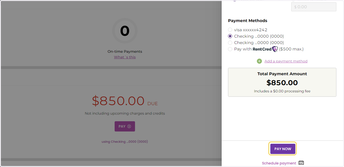 Review the Total Payment Amount and click 'Pay Now'.