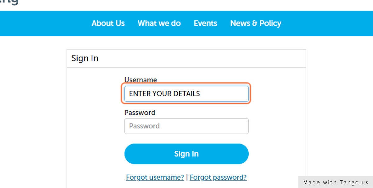 Enter your account details (your username is your email address)