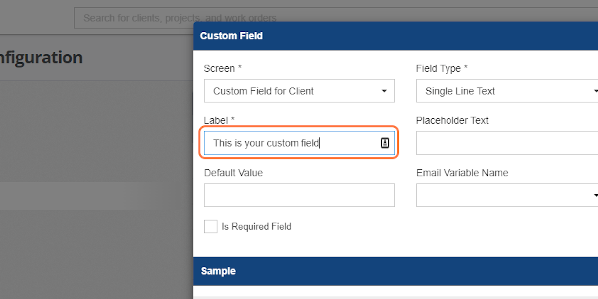 Type in what you want your custom field to be called.