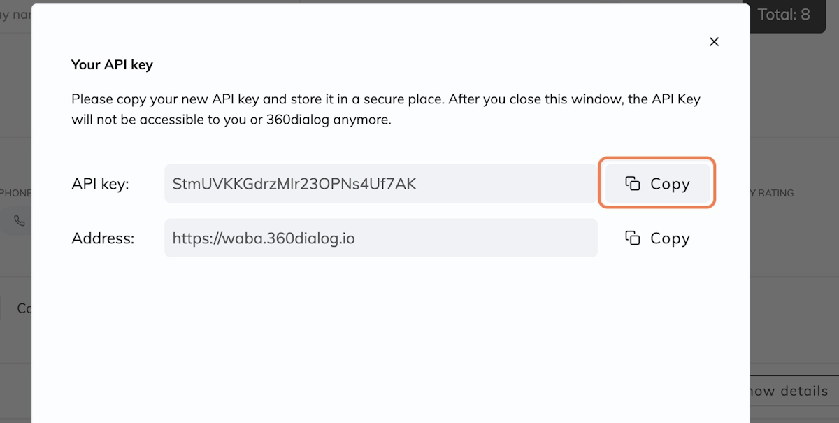 You Will See Your API Key & Domain Here, Click on Copy API Key