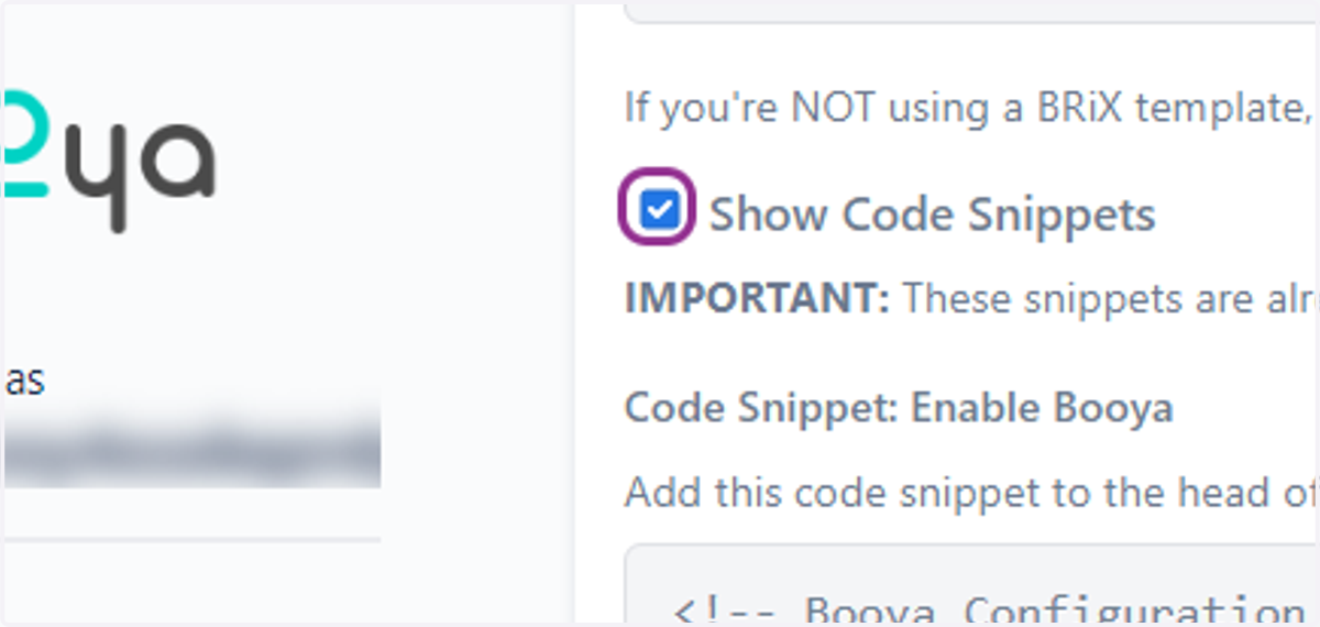 Click "Show Code Snippets"