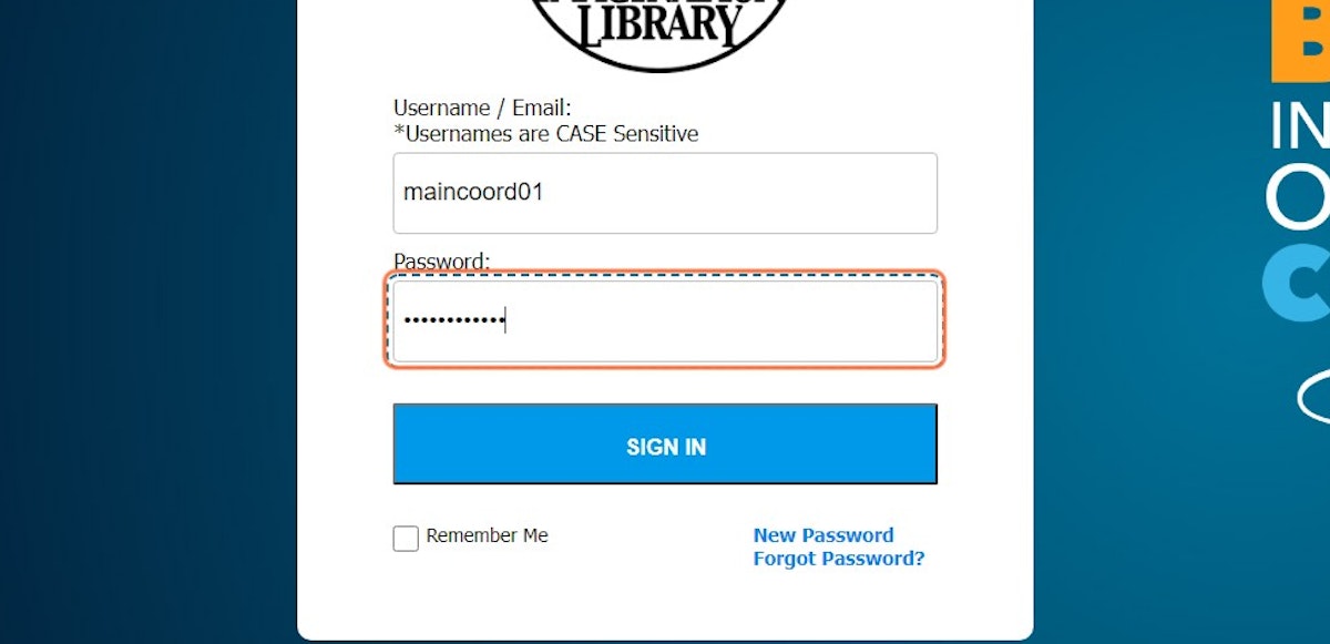 Type Password