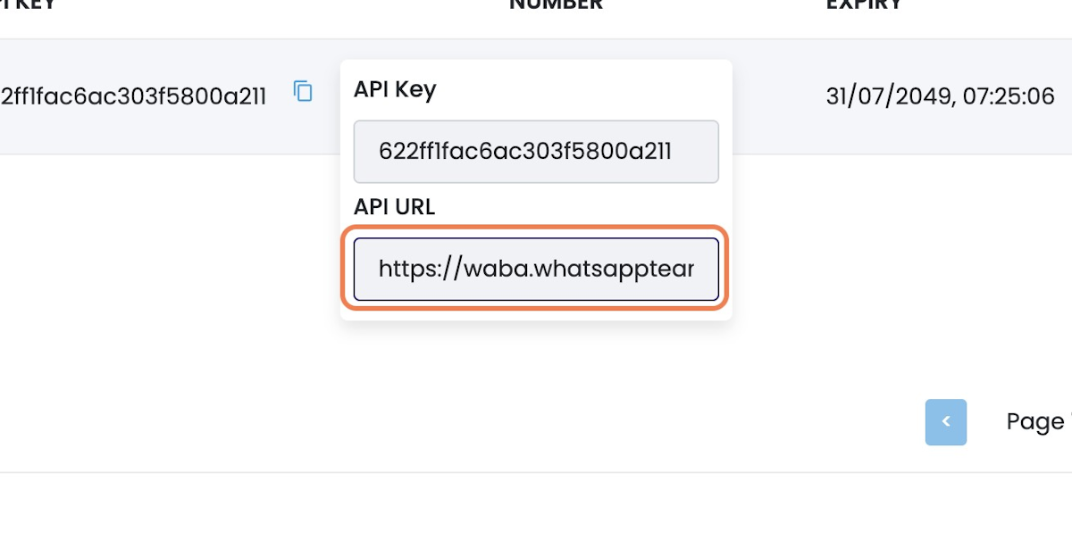 Click on API URL / DOMAIN to Copy It