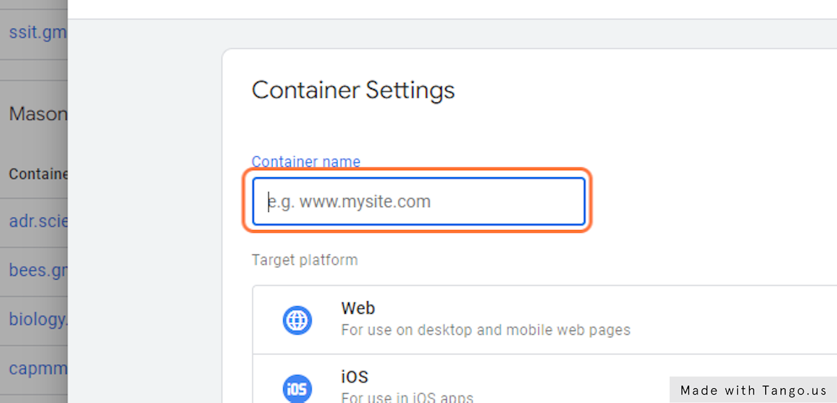 Paste the domain name of the website into the "Container Name" field