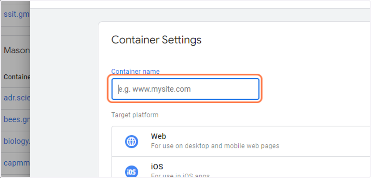 Paste the domain name of the website into the "Container Name" field