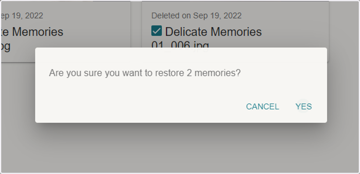 Click on 'YES' to confirm that you want to restore the files