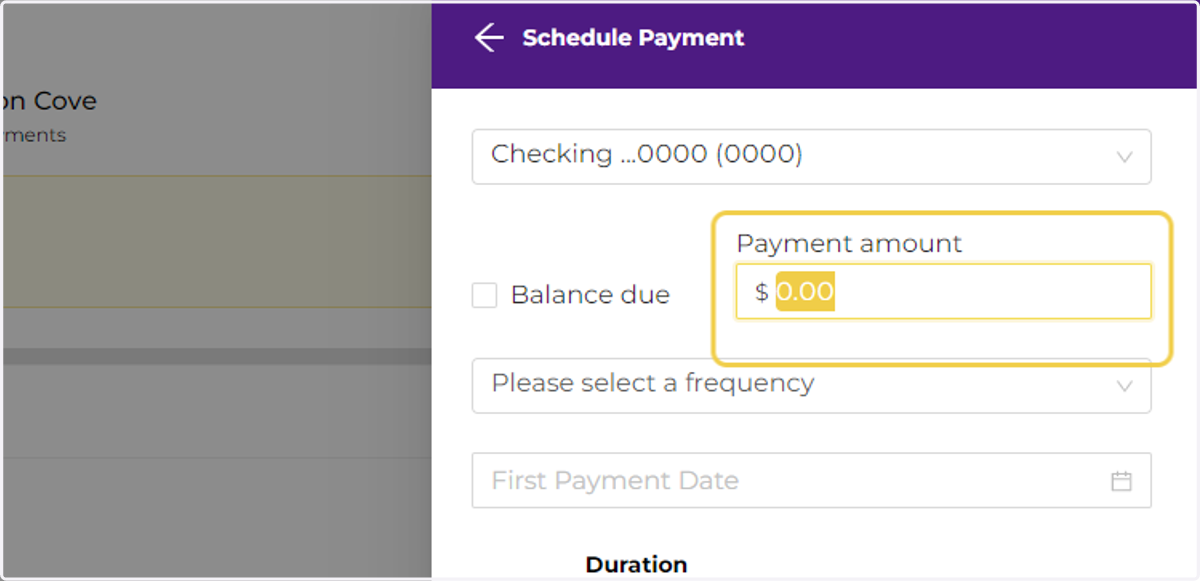 Check the Balance Due Box or type in a set amount to pay.