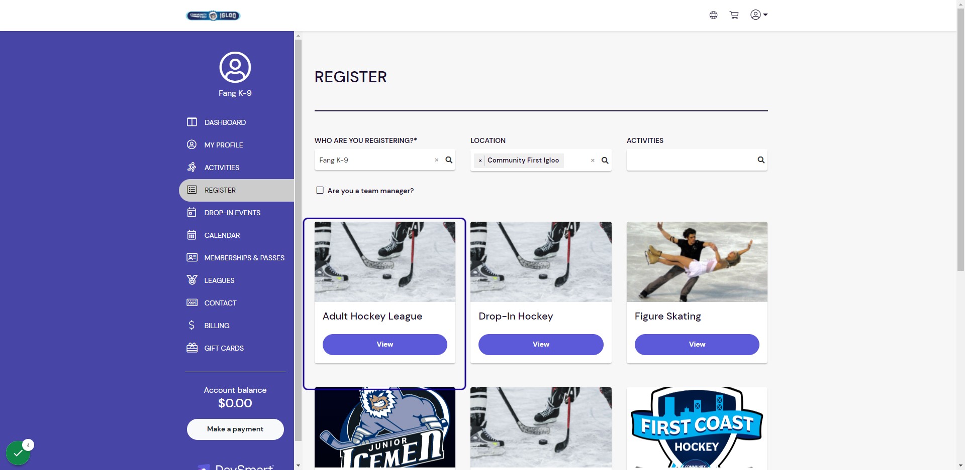 Locate the Adult Hockey League option and click View.