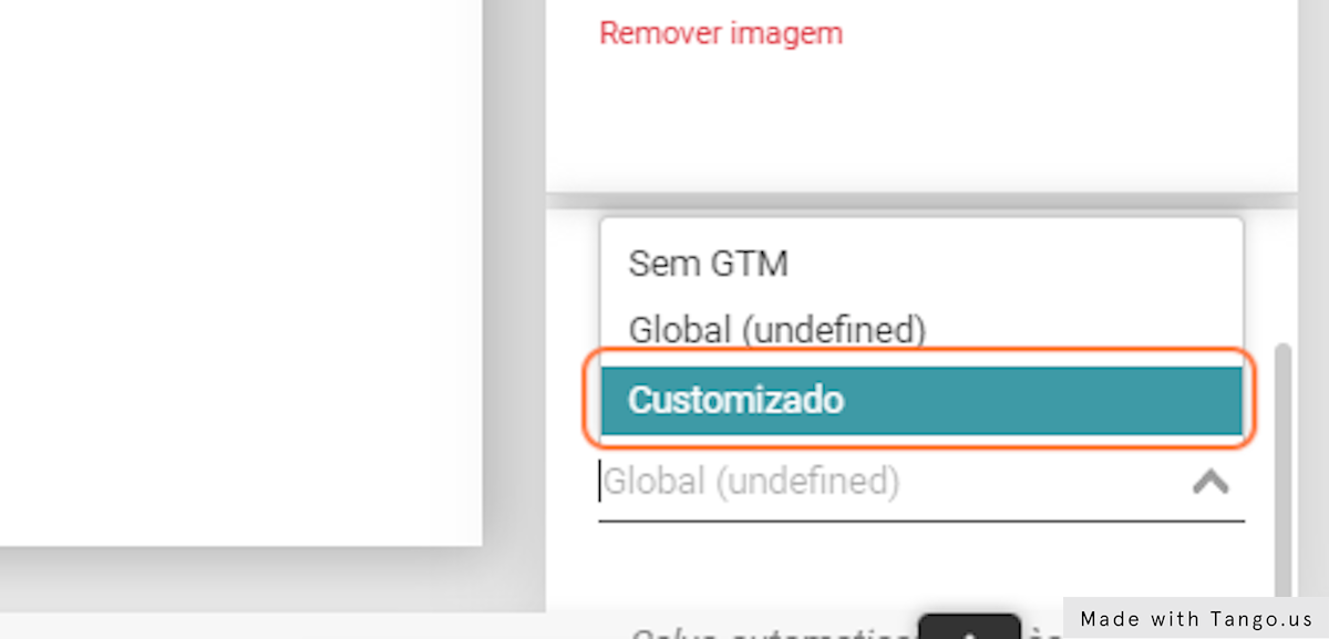 Escolha a melhor opção entre customizado (por página) ou global (igual em todas as páginas do site)