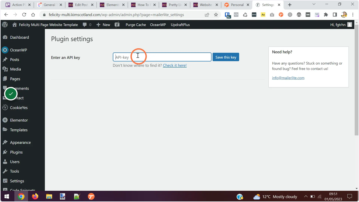 The user clicking the API text box within the MailerLite plugin settings in WordPress.