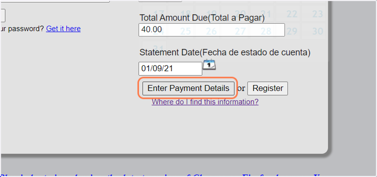 Haga click en Enter Payment Details