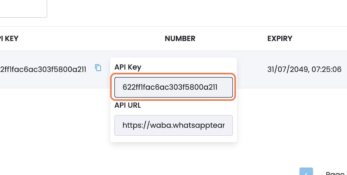Click on API Key to Copy It