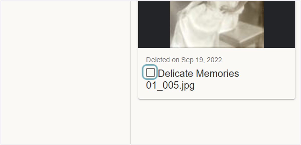 Select the files that you want to restore
