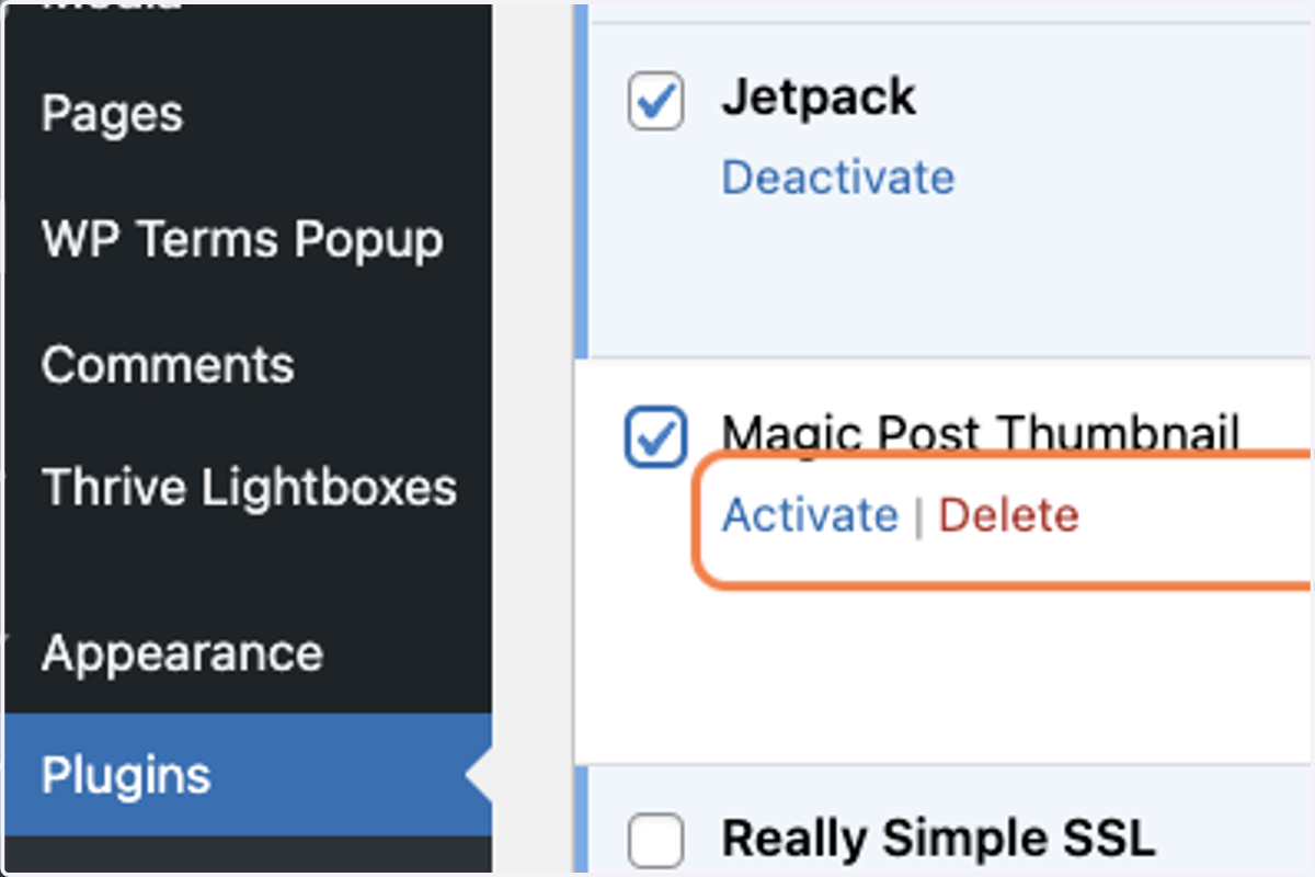 Check Select Magic Post Thumbnail -yes, another plugin that I want to delete from this WORDPRESS BLOG.