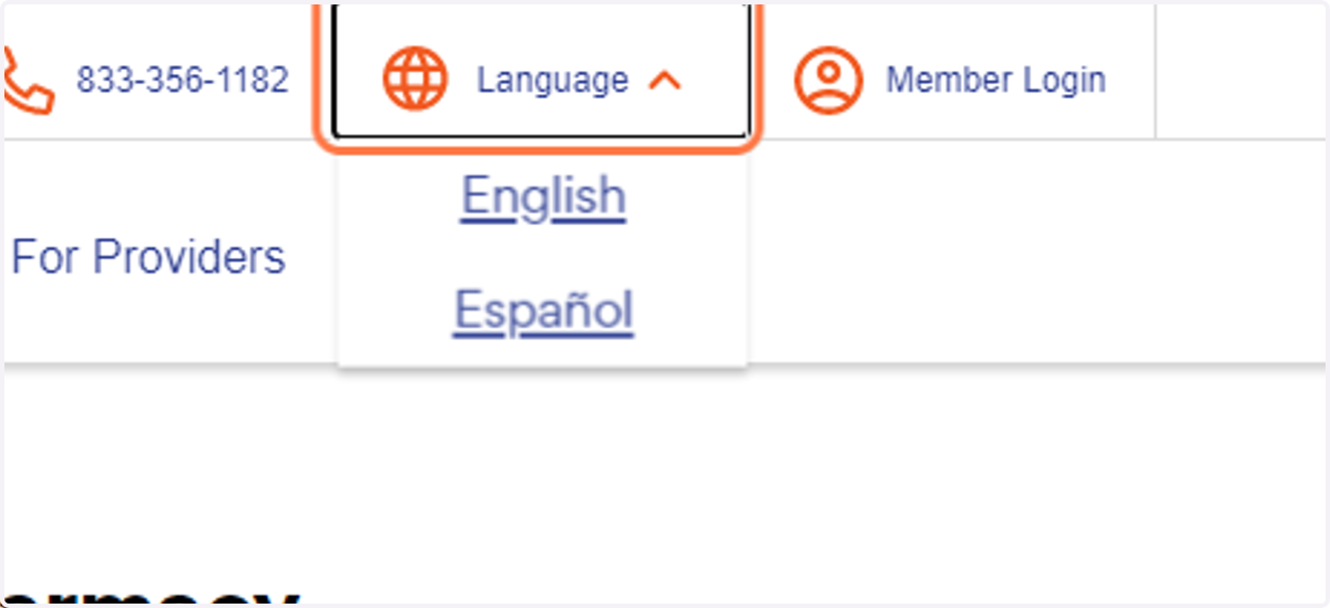 Language | Idioma