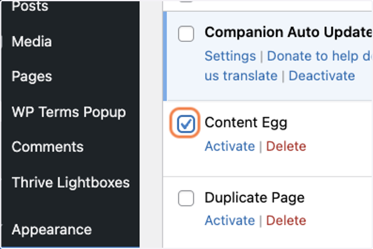 Select the Wordpress Plug ins that you want to delete. Make sure that they are already DEACTIVATED. In this case, I selected the Wordpress Plug in CONTENT EGG. It is not yet ACTIVATED. So I can delete it.