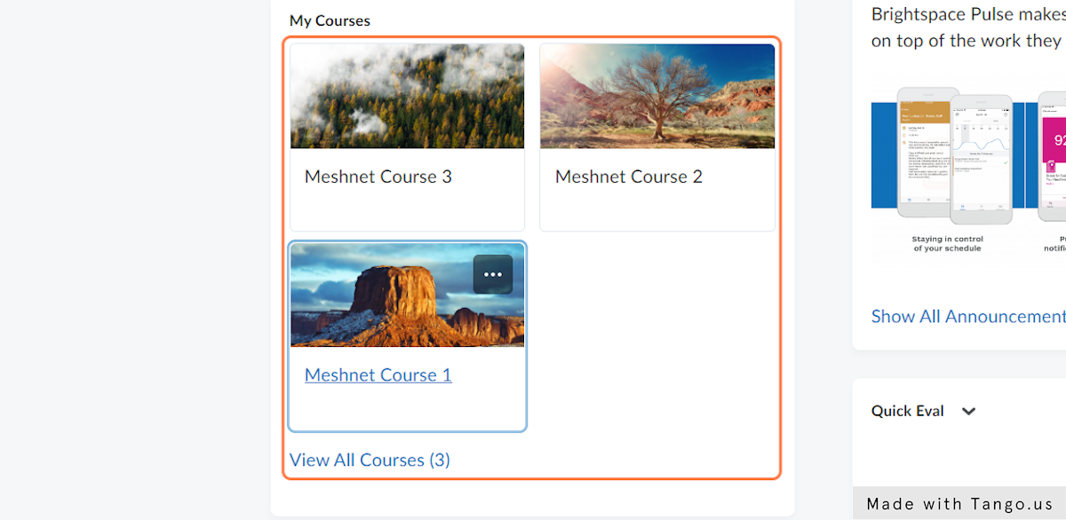 Within your D2L Brightspace homepage, navigate to the course that you would like to work within.