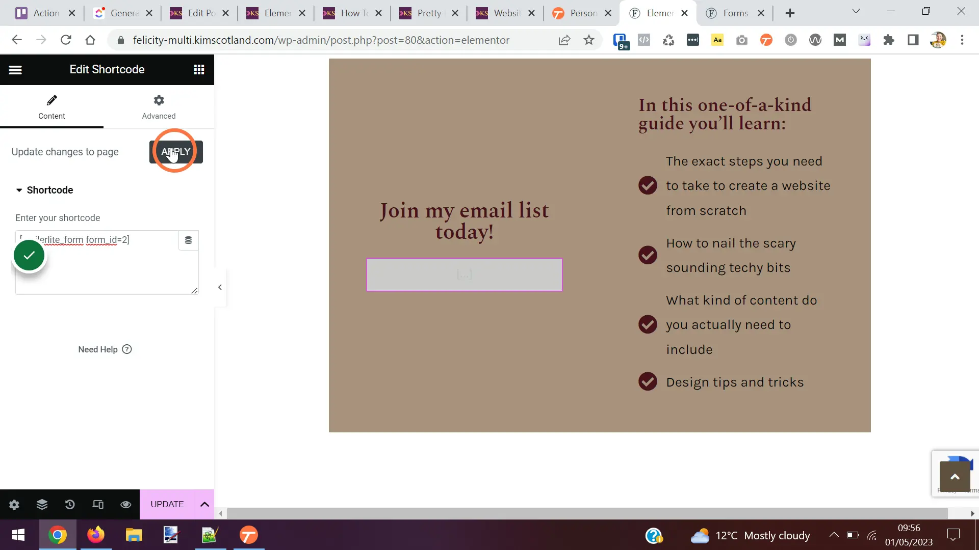The user pasting the shortcode into the options panel then clicking the apply button.