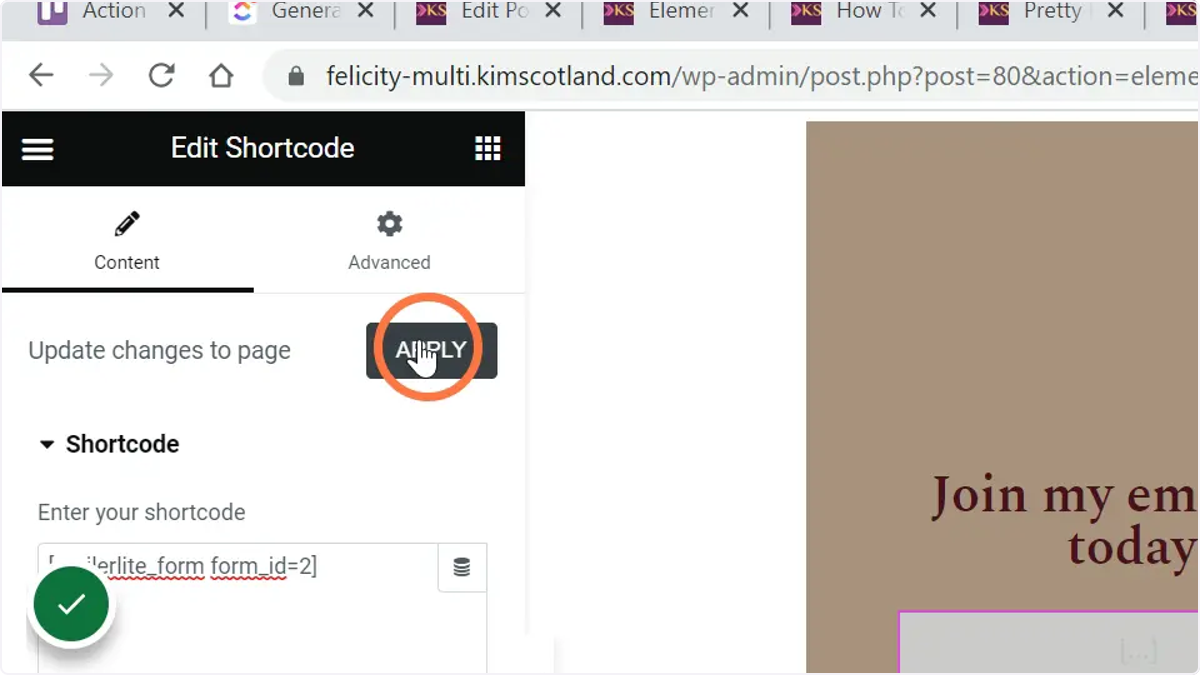 The user pasting the shortcode into the options panel then clicking the apply button.