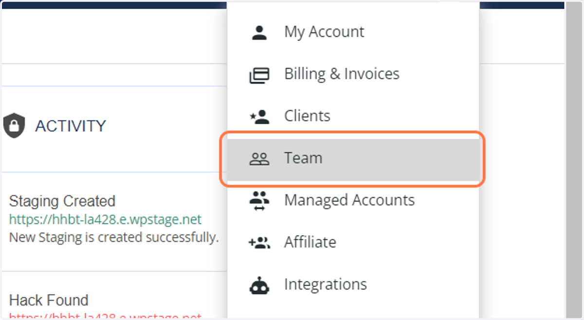 Click on Team option from the dropdown menu