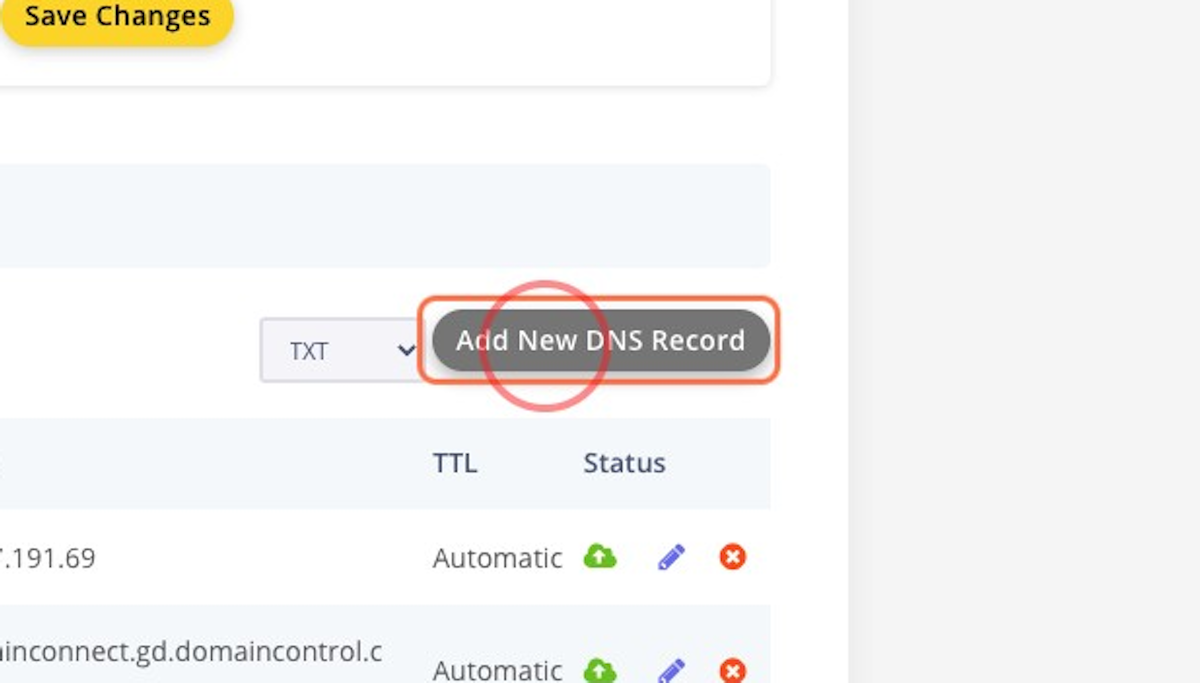 Click on Add New DNS Record