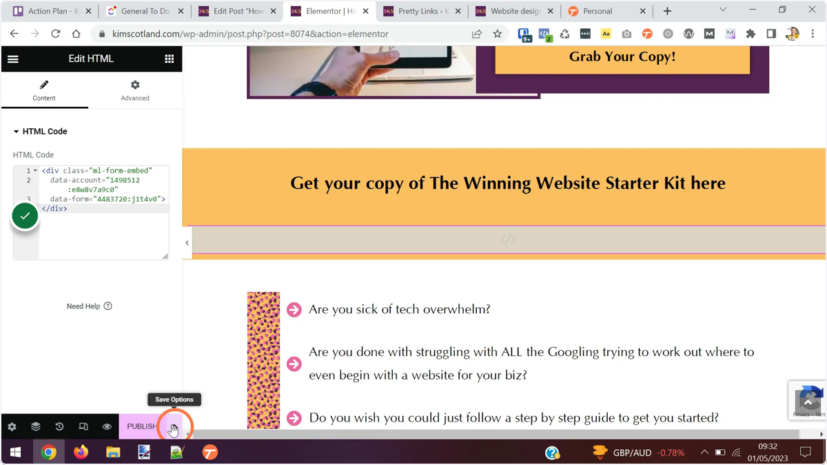 The code copied from MailerLite displayed in the HTML Code option in the Elementor options panel.