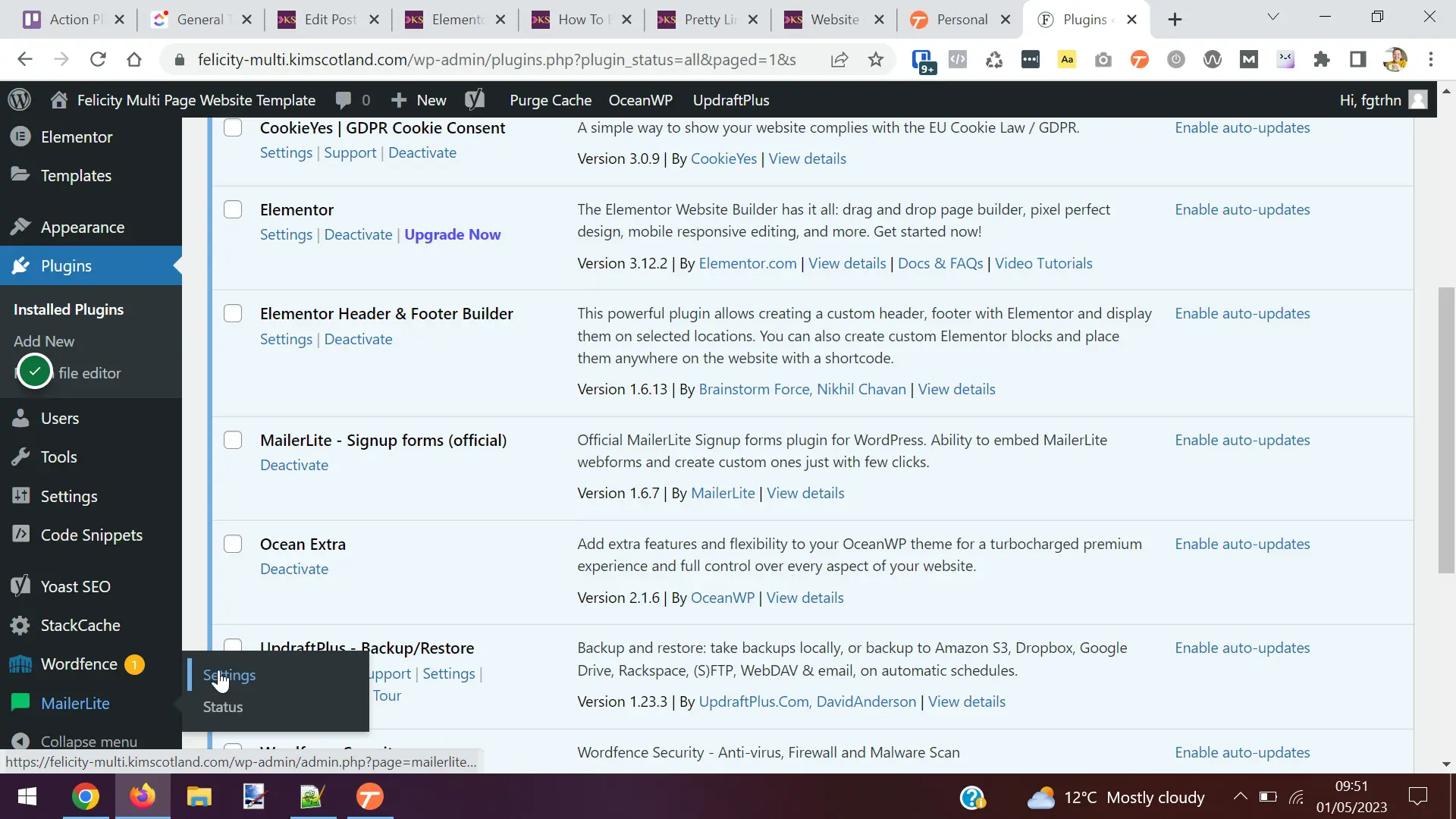 The user hovering over MailerLite, in WordPress, and clicking settings.