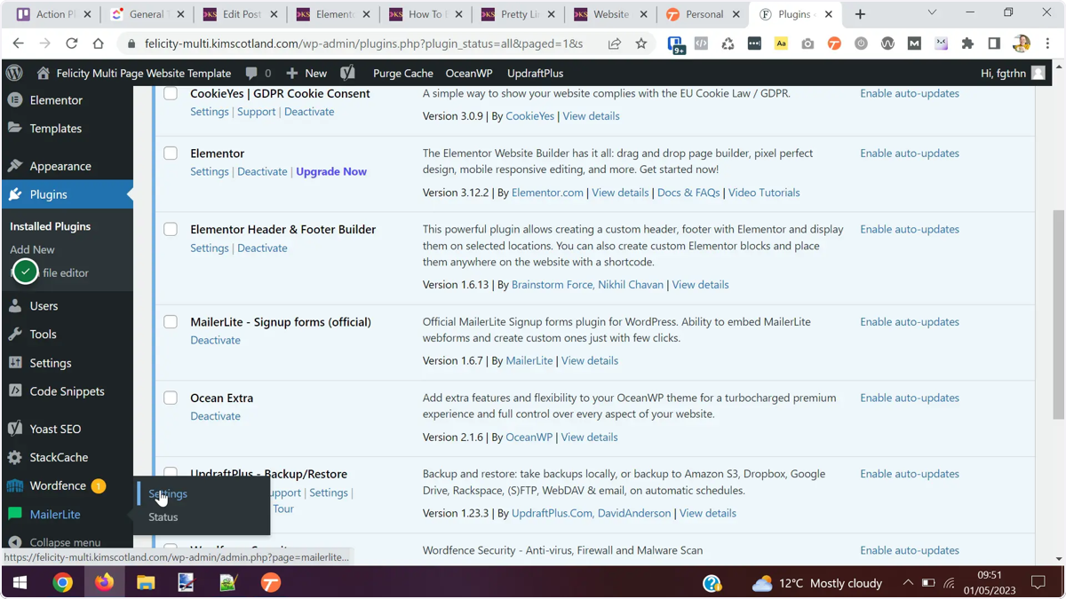 The user hovering over MailerLite, in WordPress, and clicking settings.