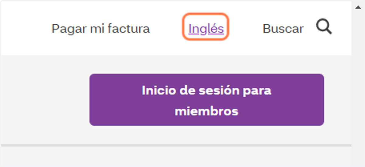 Language | Idioma