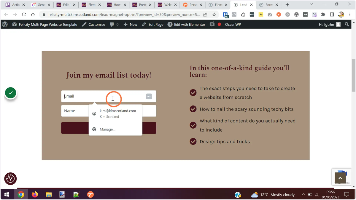 The page displayed in a new tab with the form displayed on screen.