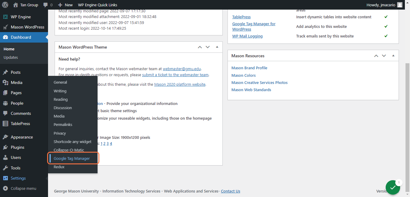 Click on Settings -> Google Tag Manager