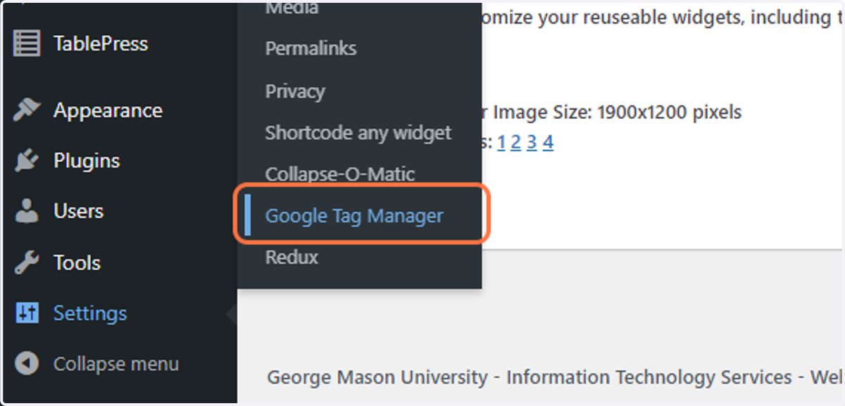 Click on Settings -> Google Tag Manager
