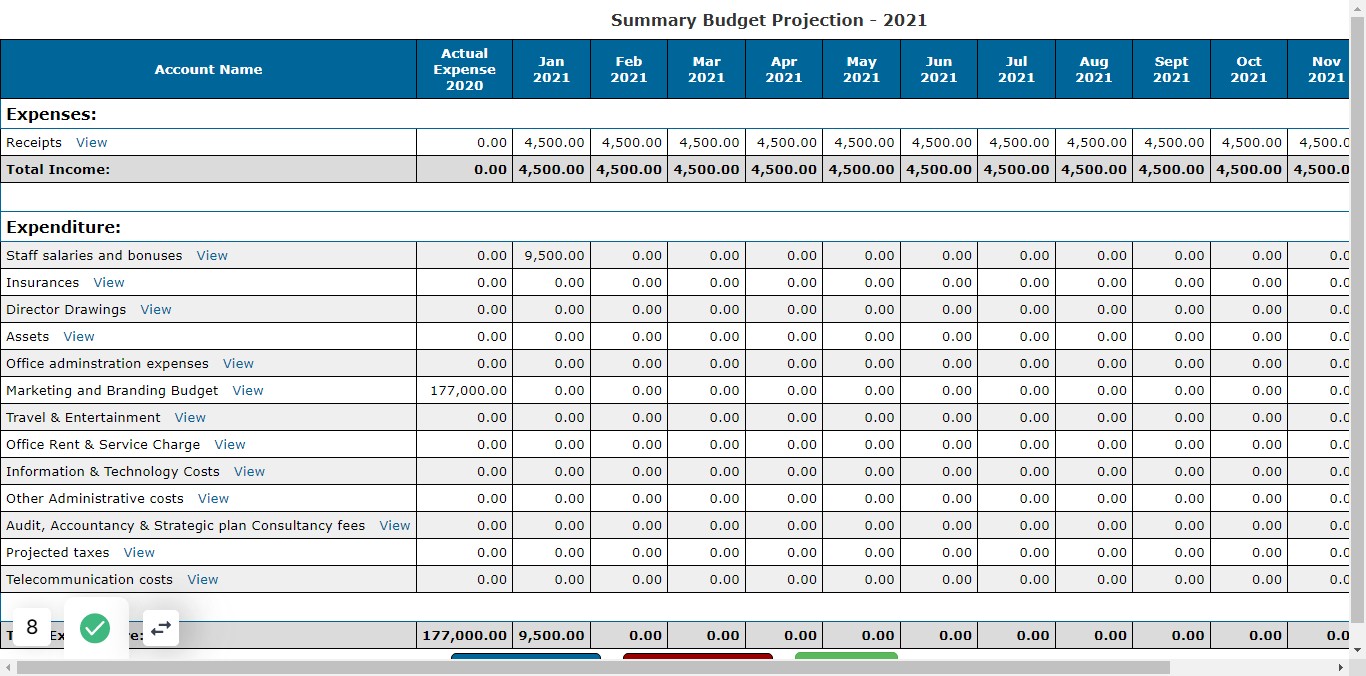 Below is an example of the summary budget projection report
