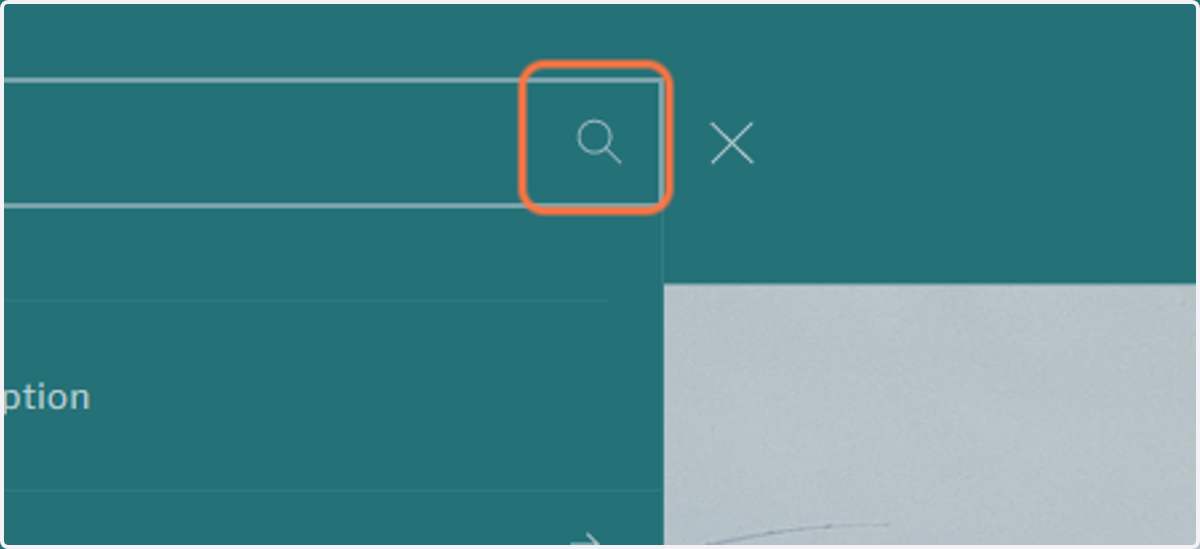 Click on Search