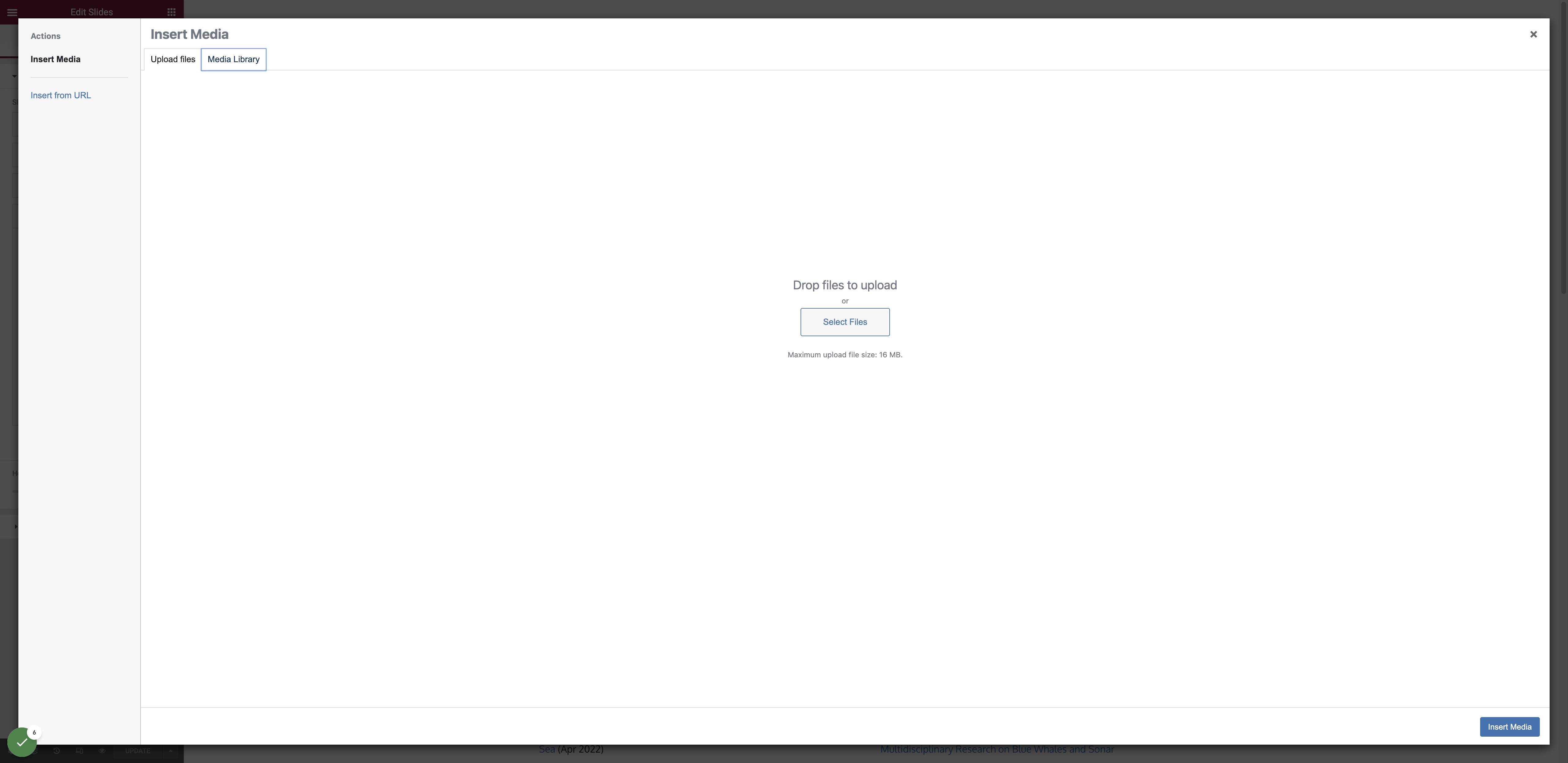 Click on Media Library