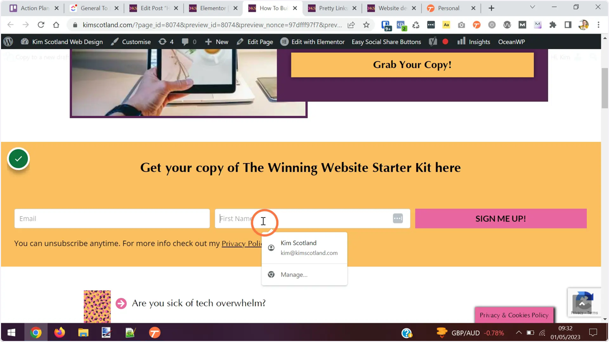 The newly added MailerLite form displayed on the page preview in a new tab.