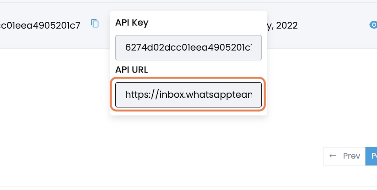 Click on API URL to Copy It