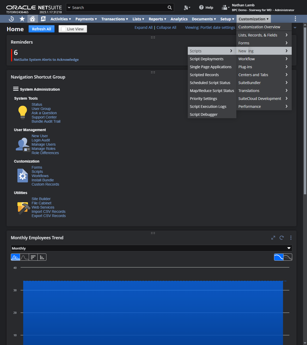 Customization > Scripting > Scripts > New